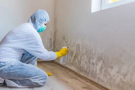 Mold Remediation for Vacation Homes in Alamogordo, NM